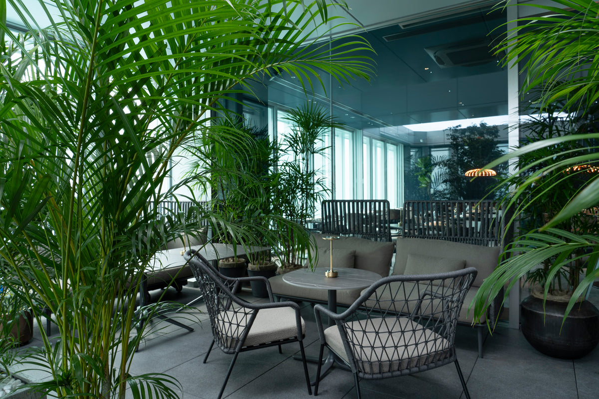 Garden terrace